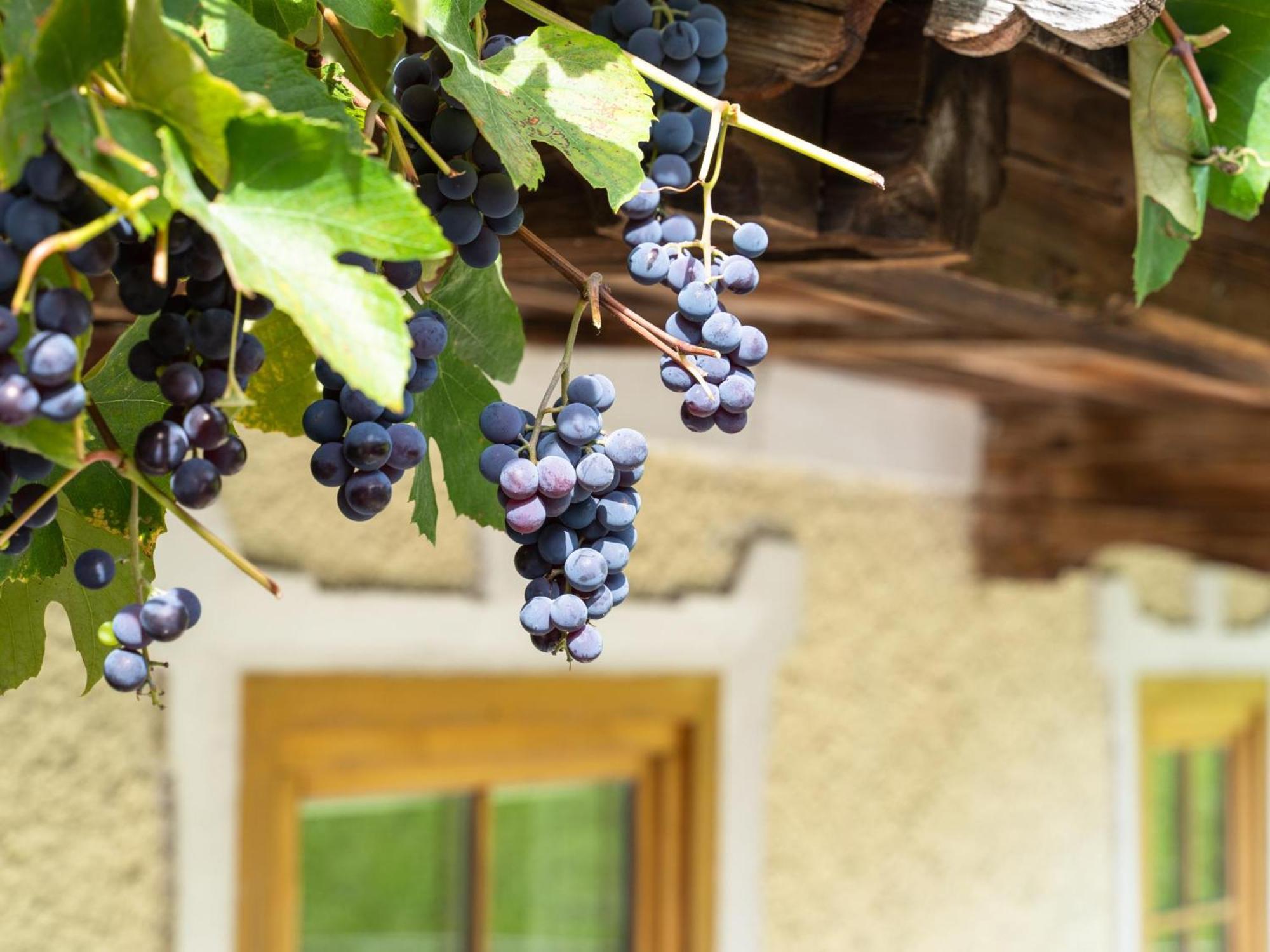 Chalet Anna Bruck am Ziller Екстер'єр фото